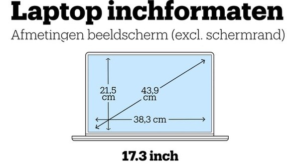 17.3 inch